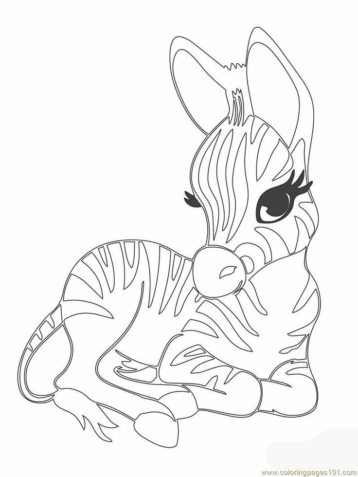 80 Free Coloring Pages Animals 73