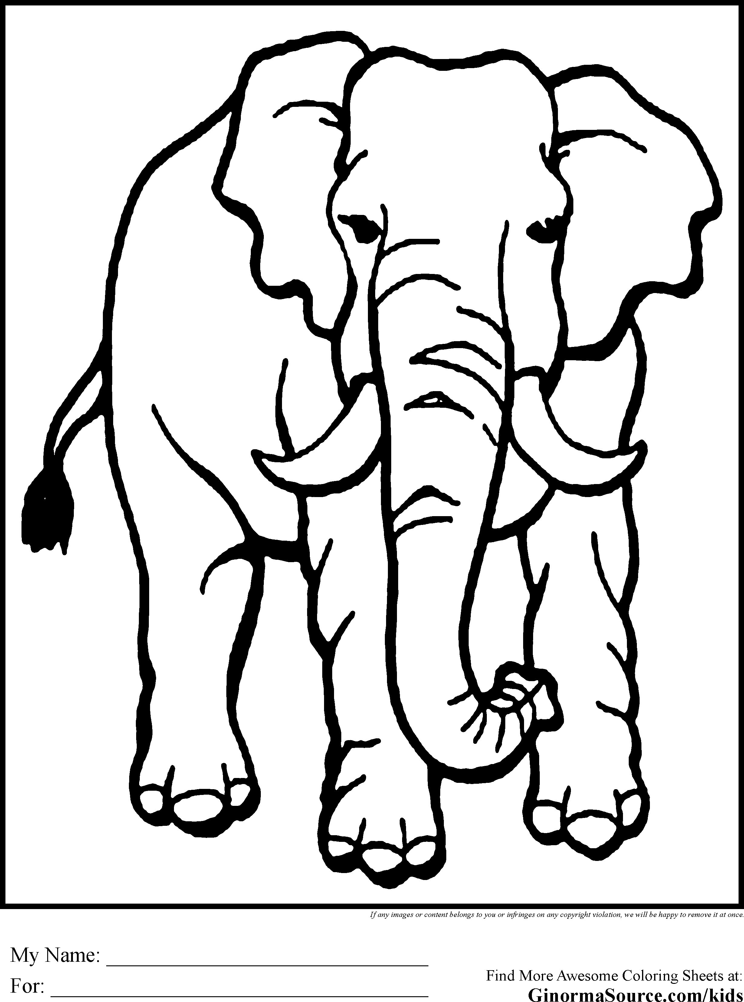 80 Free Coloring Pages Animals 82