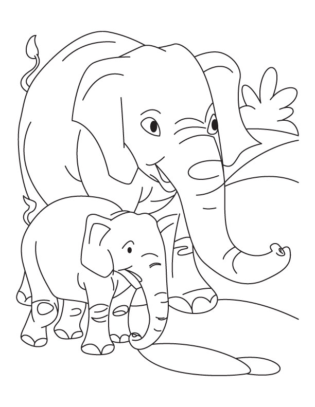 Elephant For Coloring 10