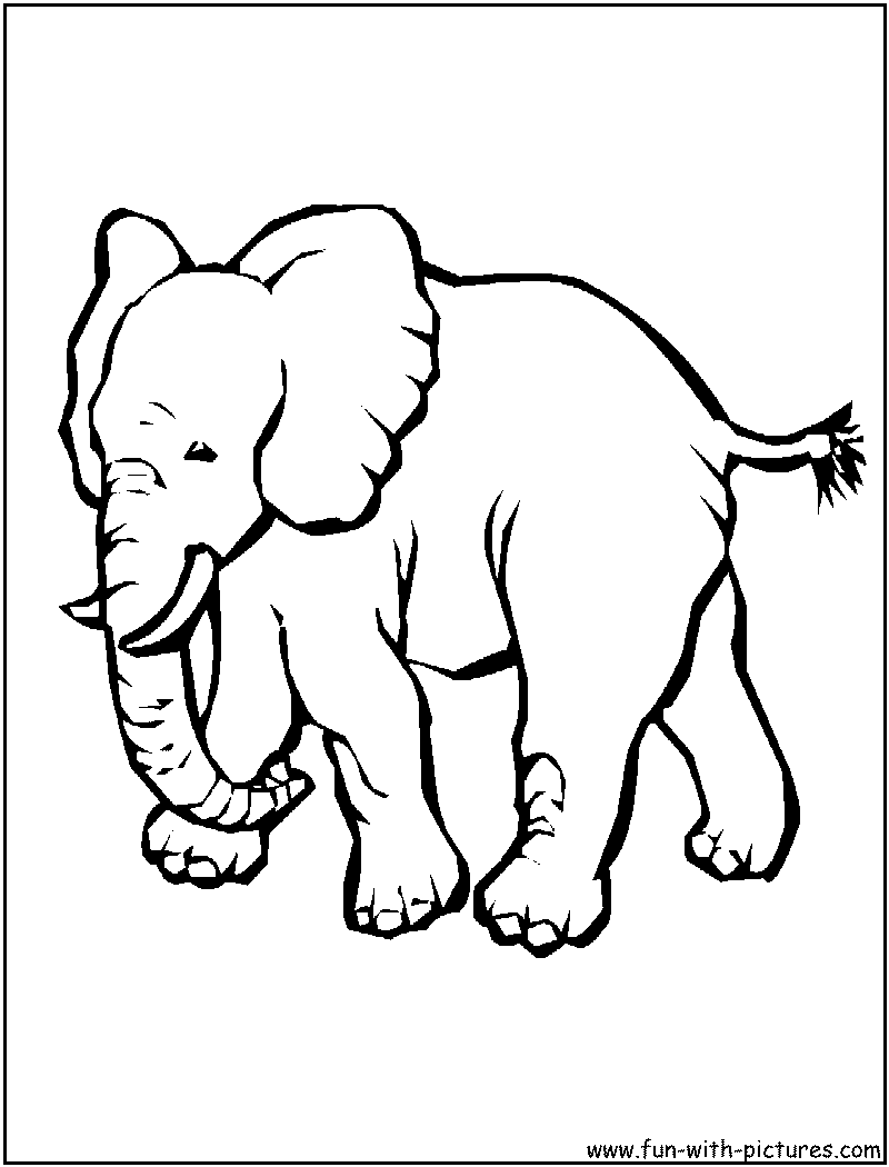 Elephant For Coloring 19