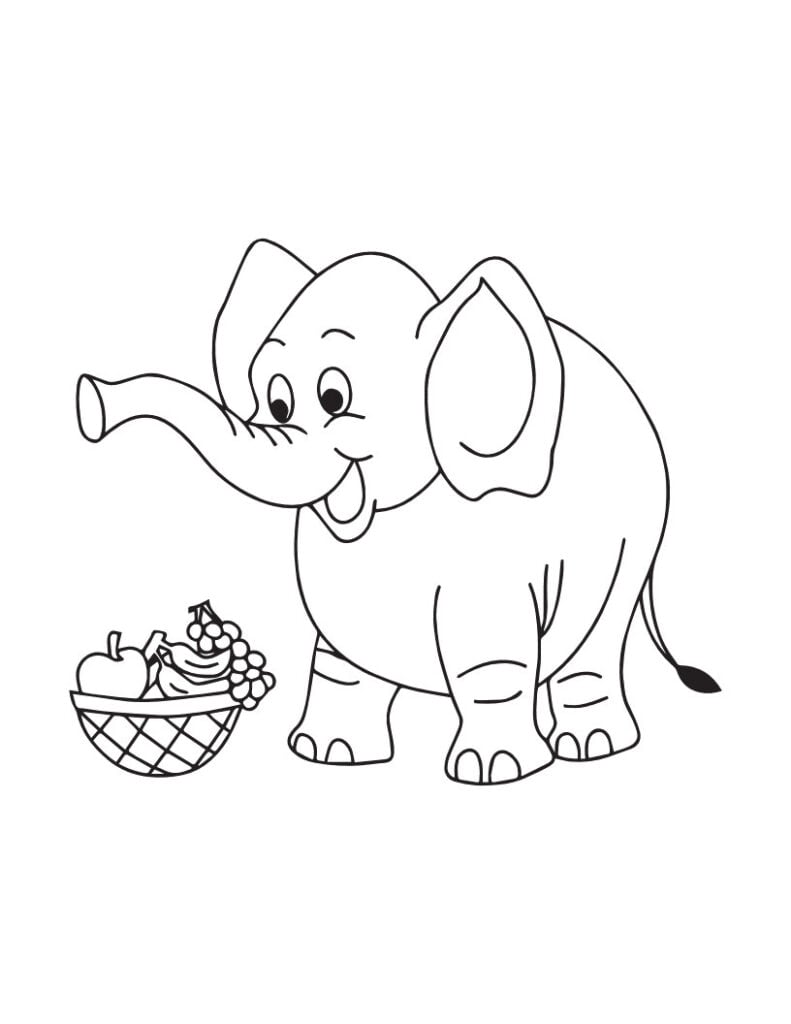 Elephant For Coloring 21