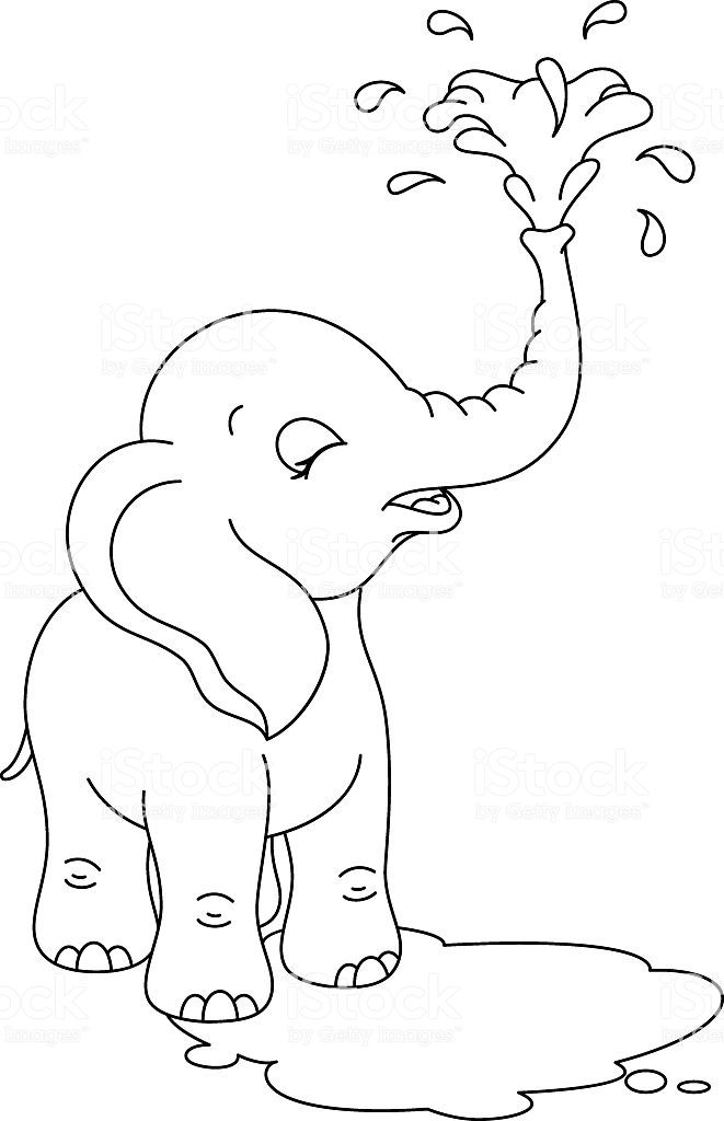 Elephant For Coloring 23