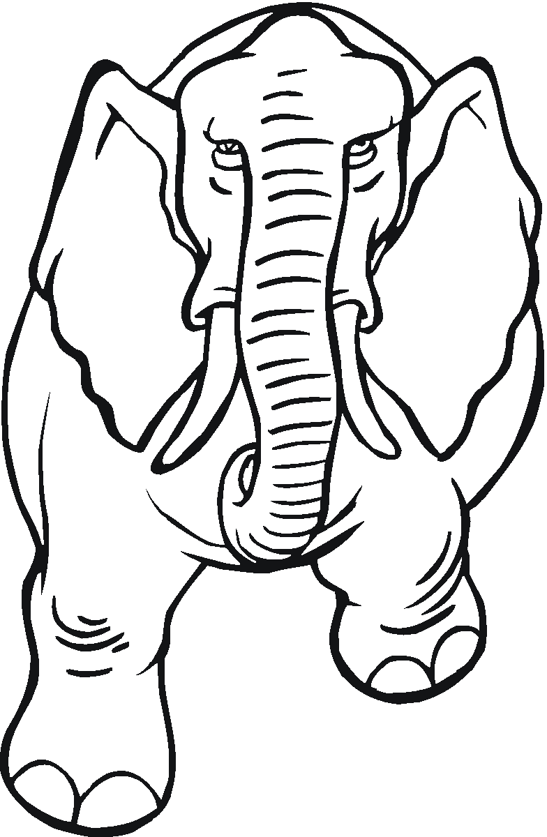 Elephant For Coloring 28