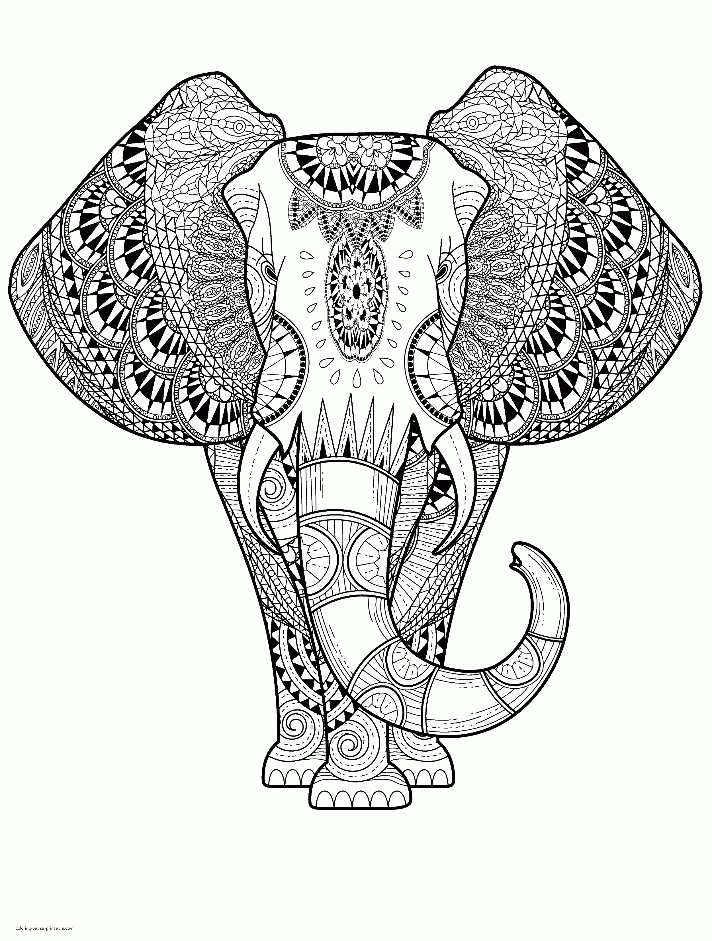 Elephant For Coloring 3