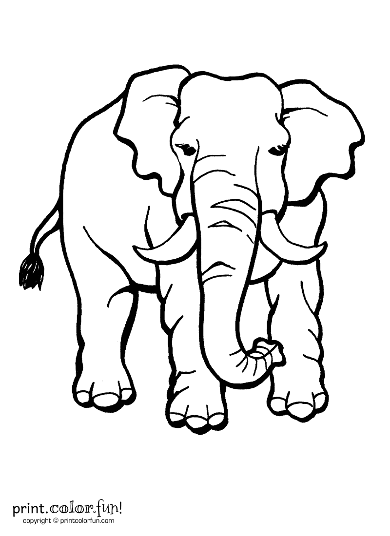 Elephant For Coloring 93