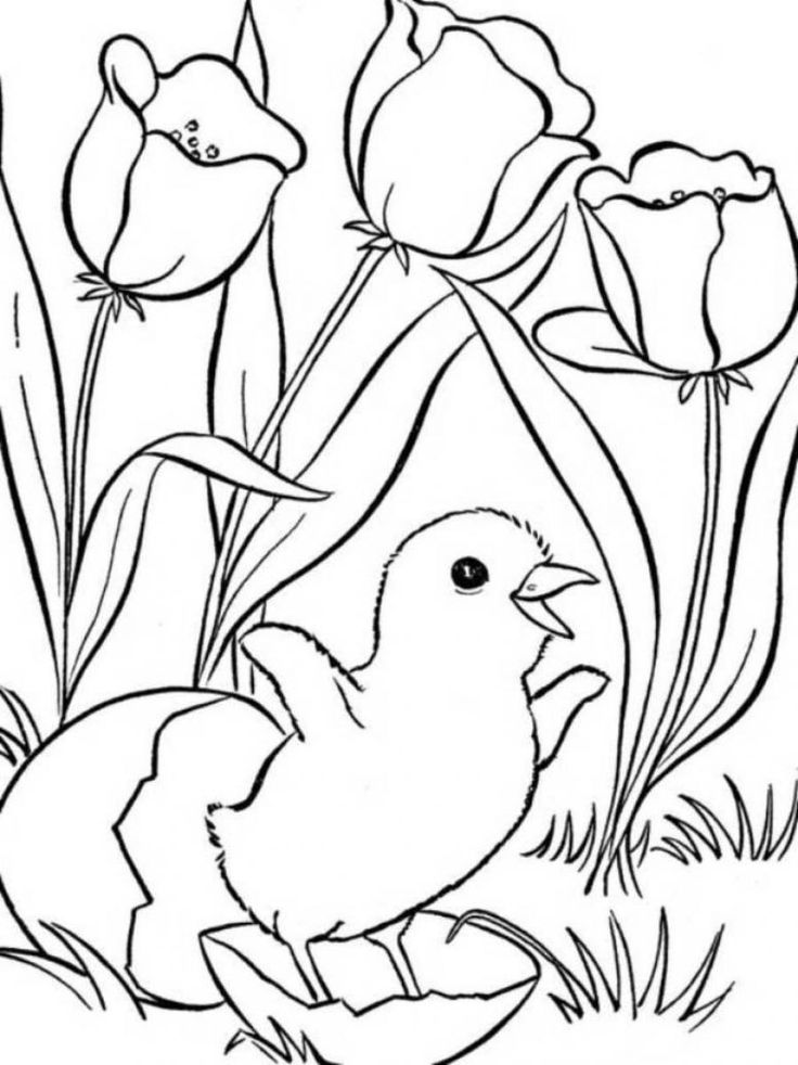 Springtime Coloring Pages 48