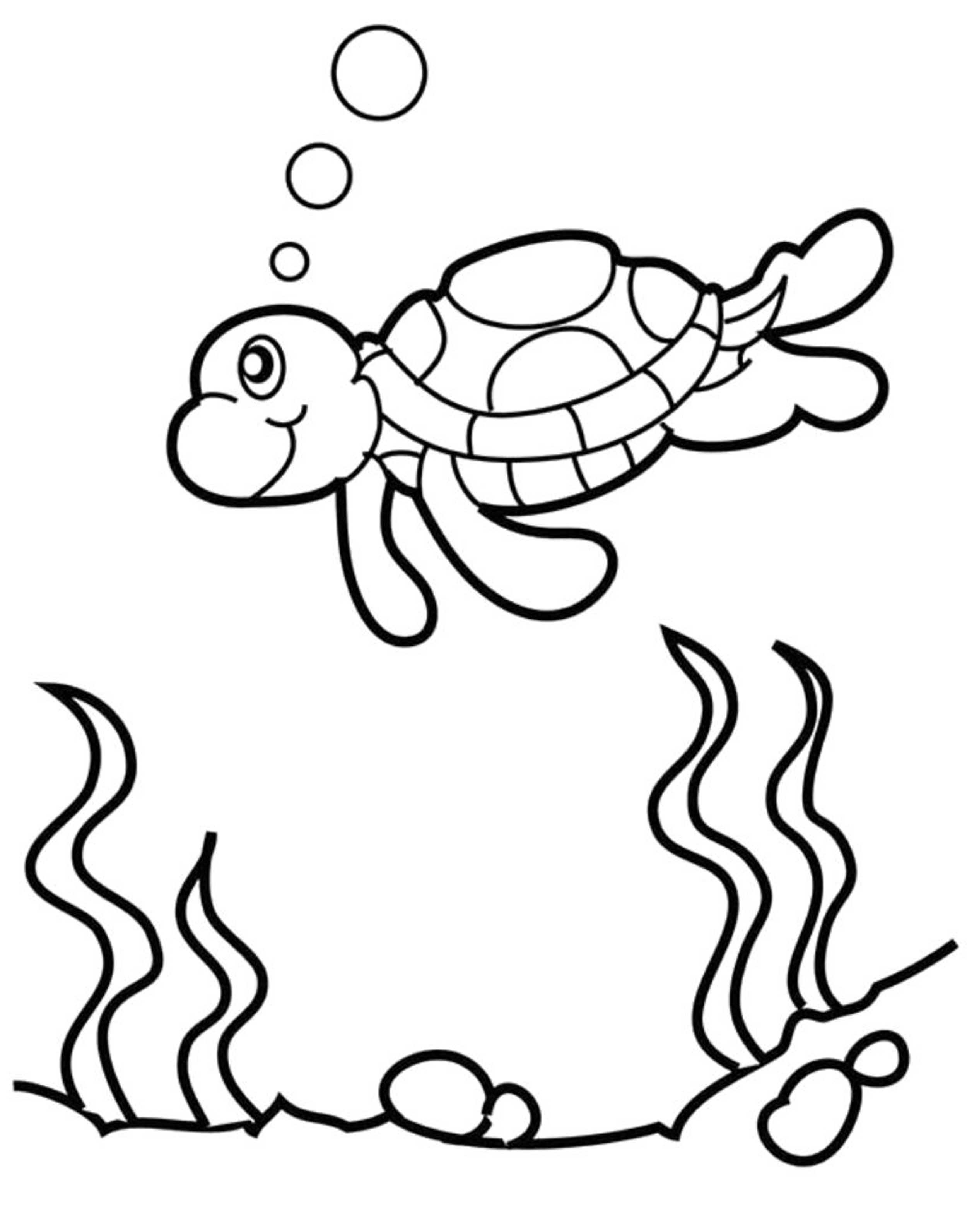 55 Coloring Page Turtle 57