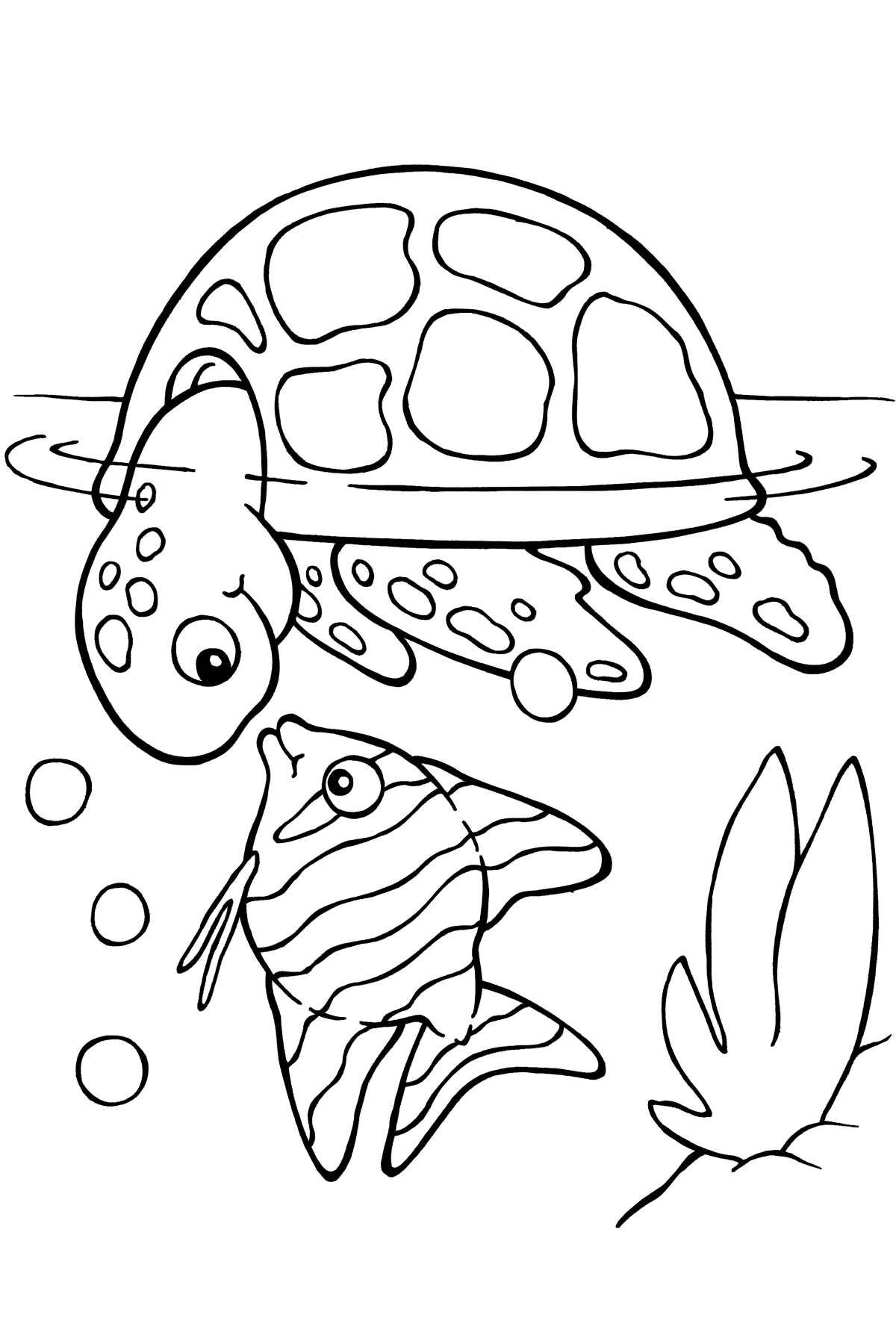 55 Coloring Page Turtle 58