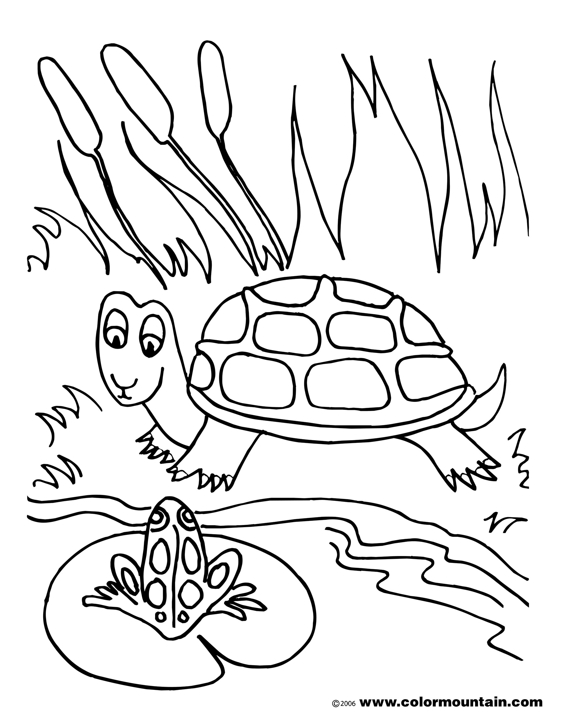 55 Coloring Page Turtle 61