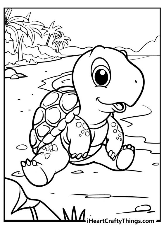 55 Coloring Page Turtle 62