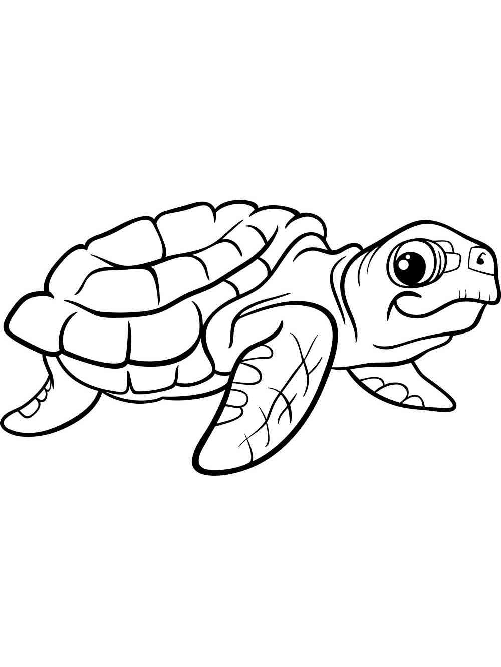 55 Coloring Page Turtle 66