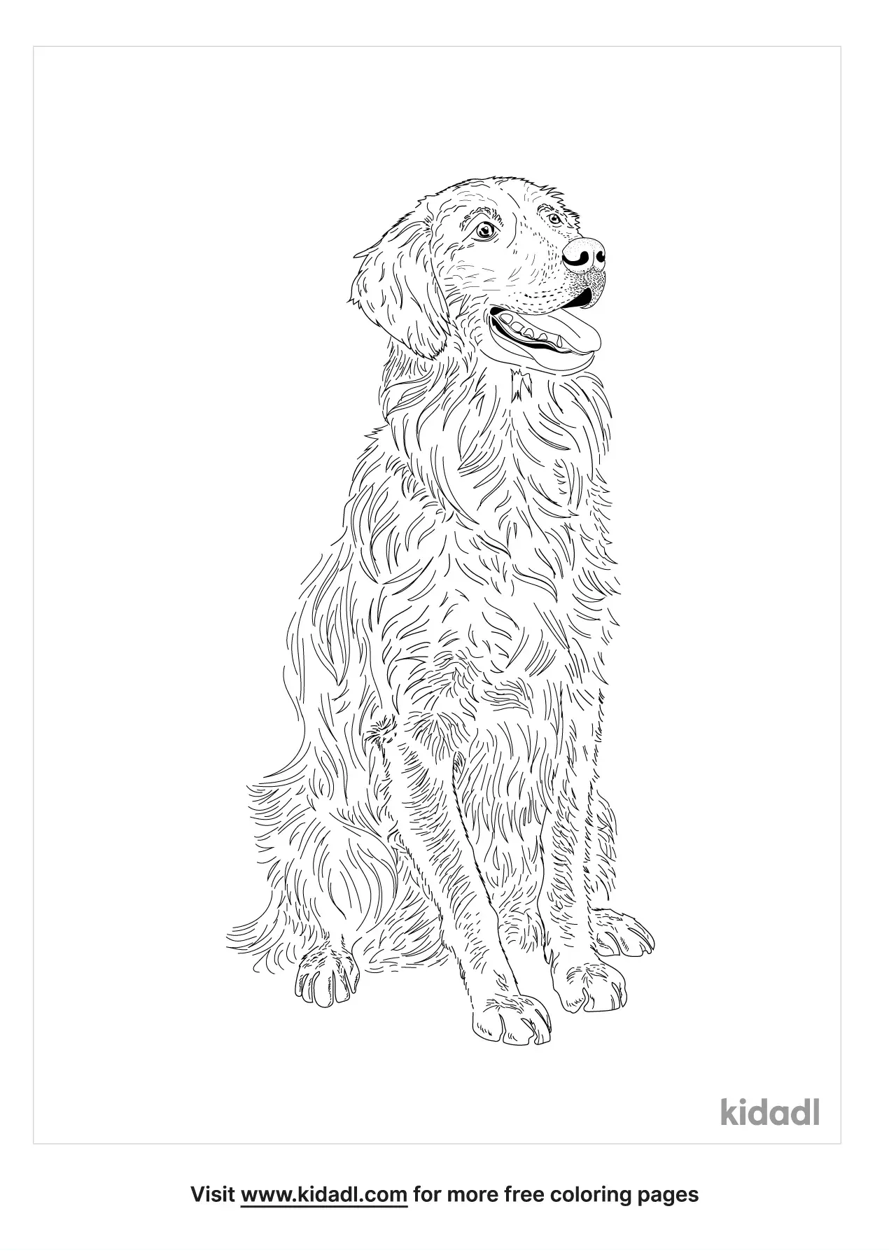 55 Golden Retriever Coloring Pages 10