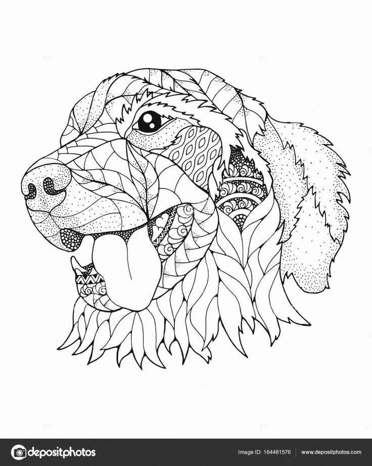 55 Golden Retriever Coloring Pages 11