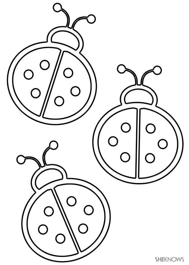 80 Printable Ladybug Coloring Pages 77