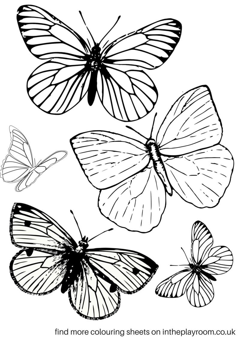 60 Printable Butterfly Coloring Pages For Free 12