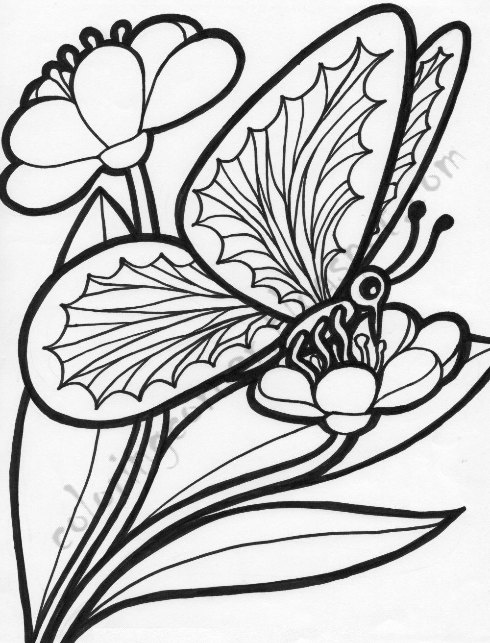 60 Printable Butterfly Coloring Pages For Free 14