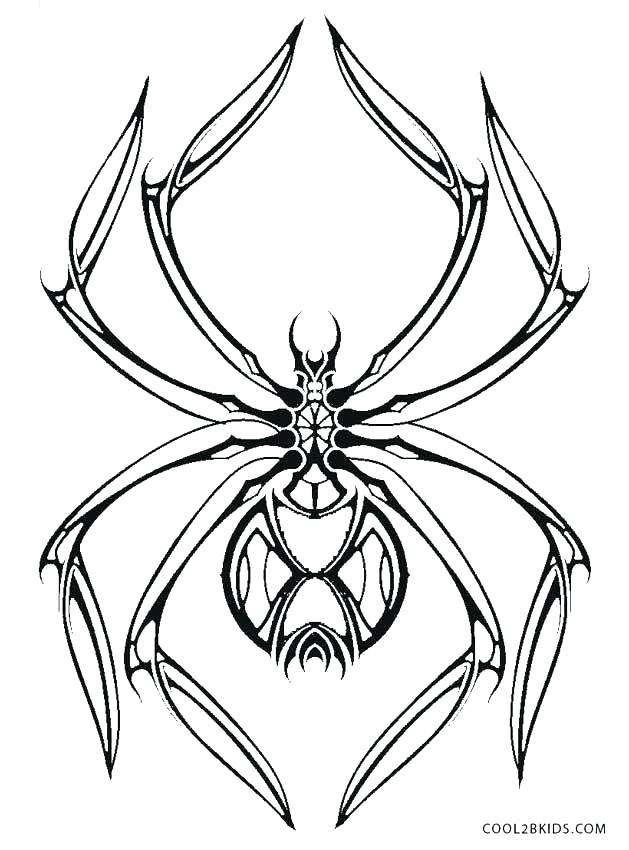 Get 85 Spider Coloring Pictures Ideas 10