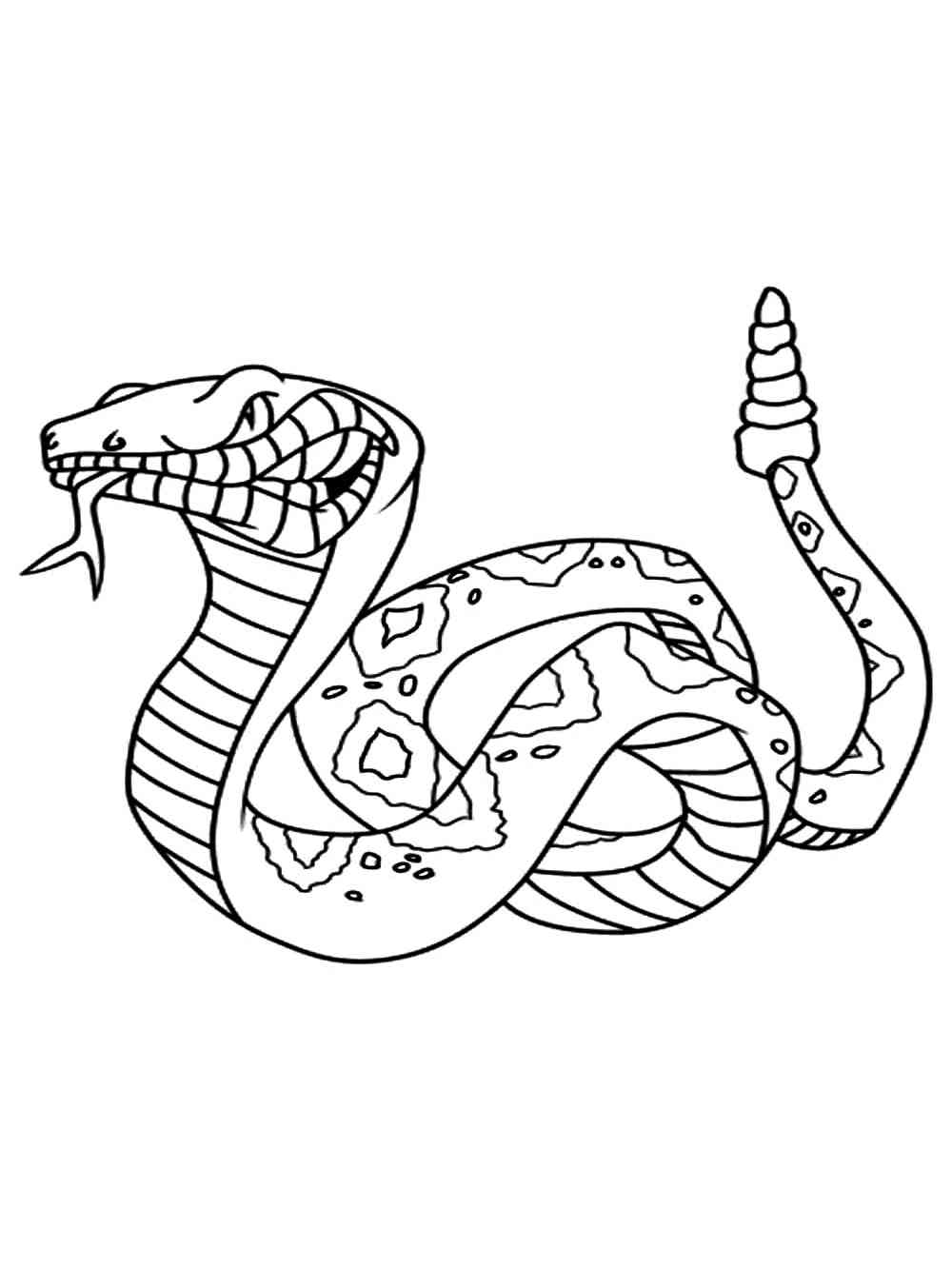 35 Rattlesnake Coloring Page 11