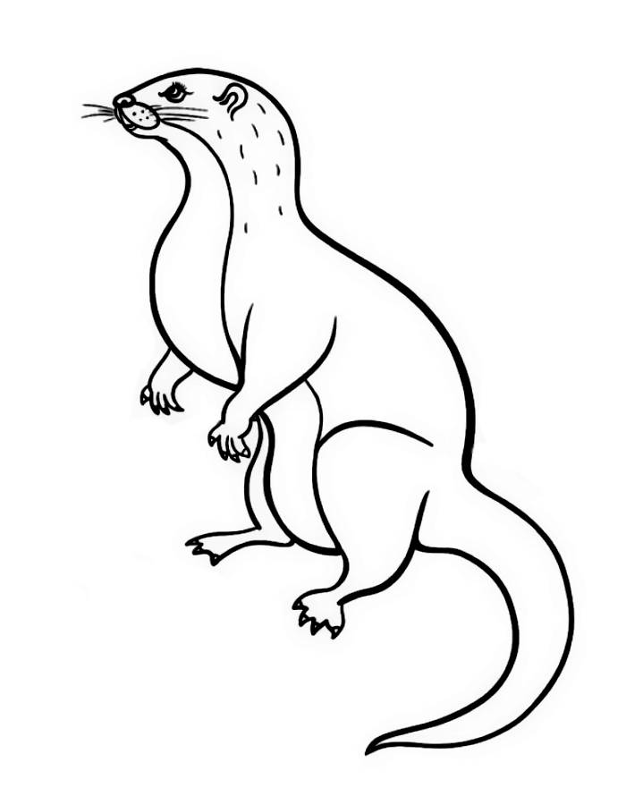 Save 60 Coloring Pages Sea Otter Ideas 36