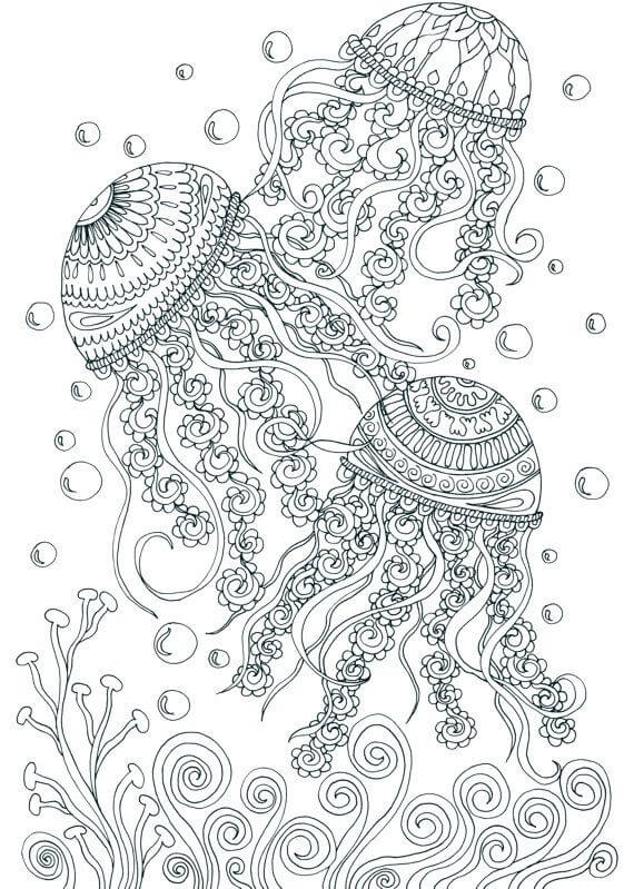 Save 60 Summer Coloring Pages Adult Ideas 26